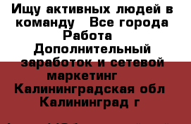 Ищу активных людей в команду - Все города Работа » Дополнительный заработок и сетевой маркетинг   . Калининградская обл.,Калининград г.